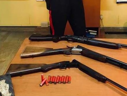 Armi e munizioni nascoste tra gli animaliScoperta dei carabinieri nel Reggino, un arresto