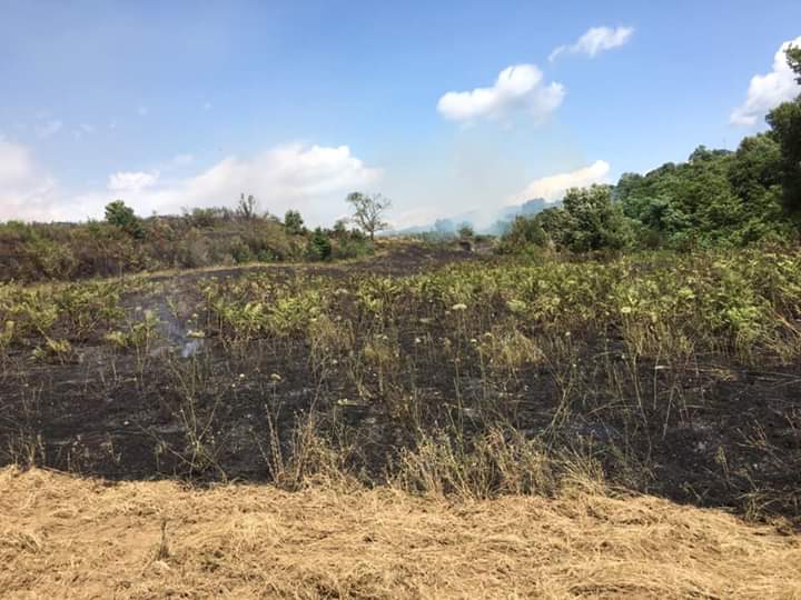 La zona interessata dal secondo incendio