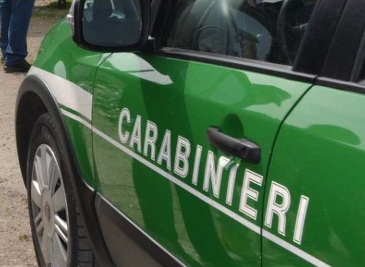 Truffa, peculato e omessa denuncia: ai domiciliari il comandante del Nucleo carabinieri biodiversità e un carabiniere scelto