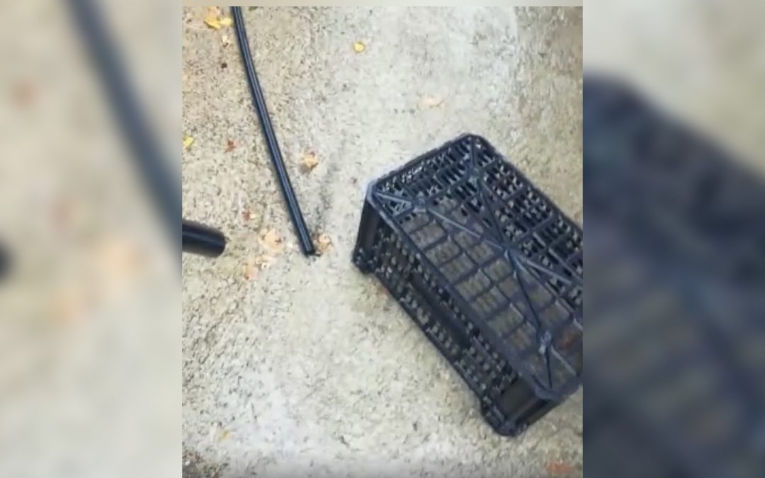 Il luogo dove si trovava l'elettropompa