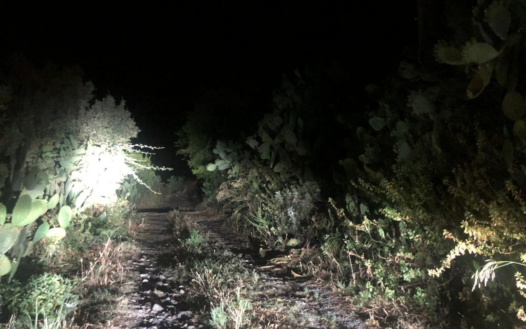Il luogo del ritrovamento del cadavere