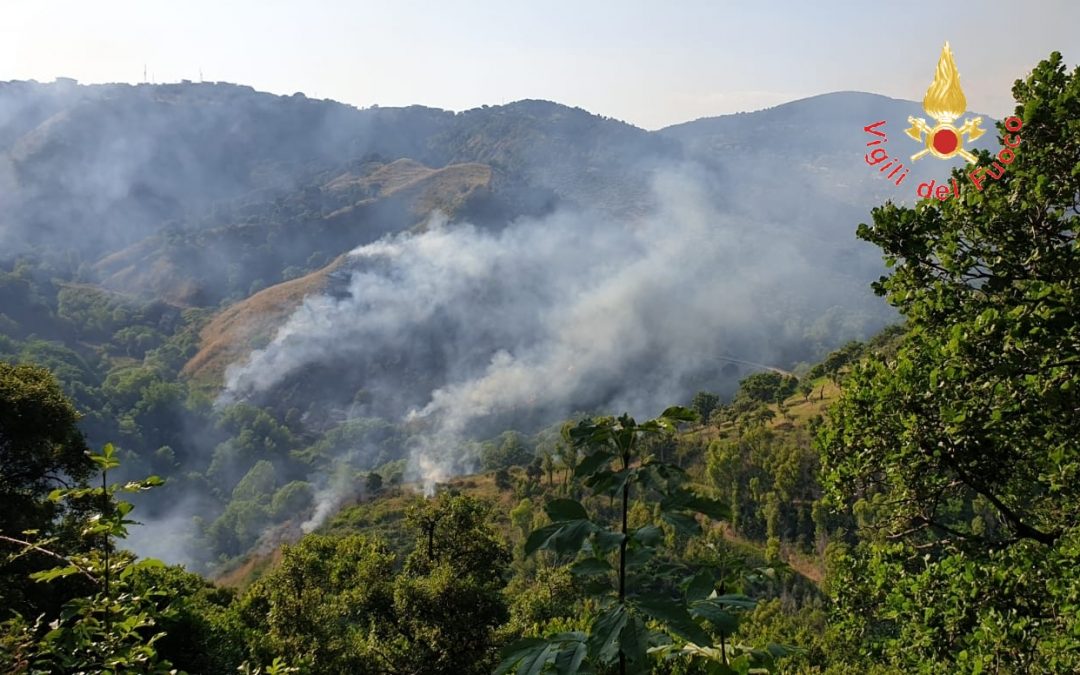 VIDEO – Nuovo incendio nel parco della biodiversità di Catanzaro, mezzi aerei in azione