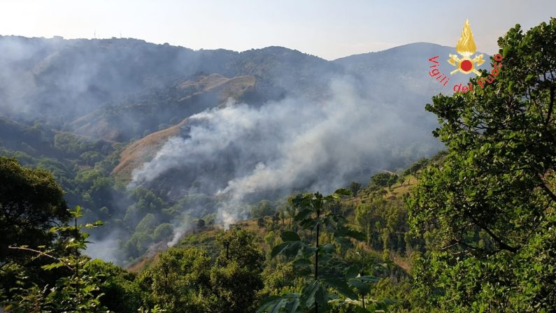 VIDEO - Nuovo incendio nel parco della biodiversità di Catanzaro, mezzi aerei in azione