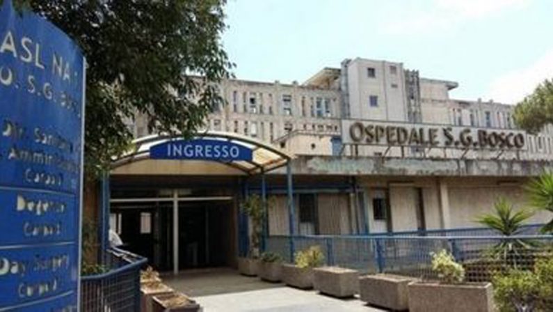 Napoli, denuncia dall'ospedale San Bosco: dottoressa picchiata al pronto soccorso. E tornano le formiche