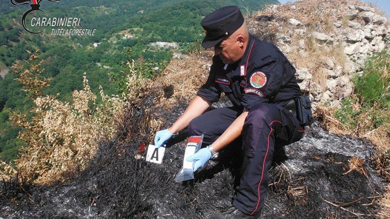 Non controlla le torce per la processione e scoppia un incendioDenunciato 51enne, in fumo 10 ettari di macchia mediterranea