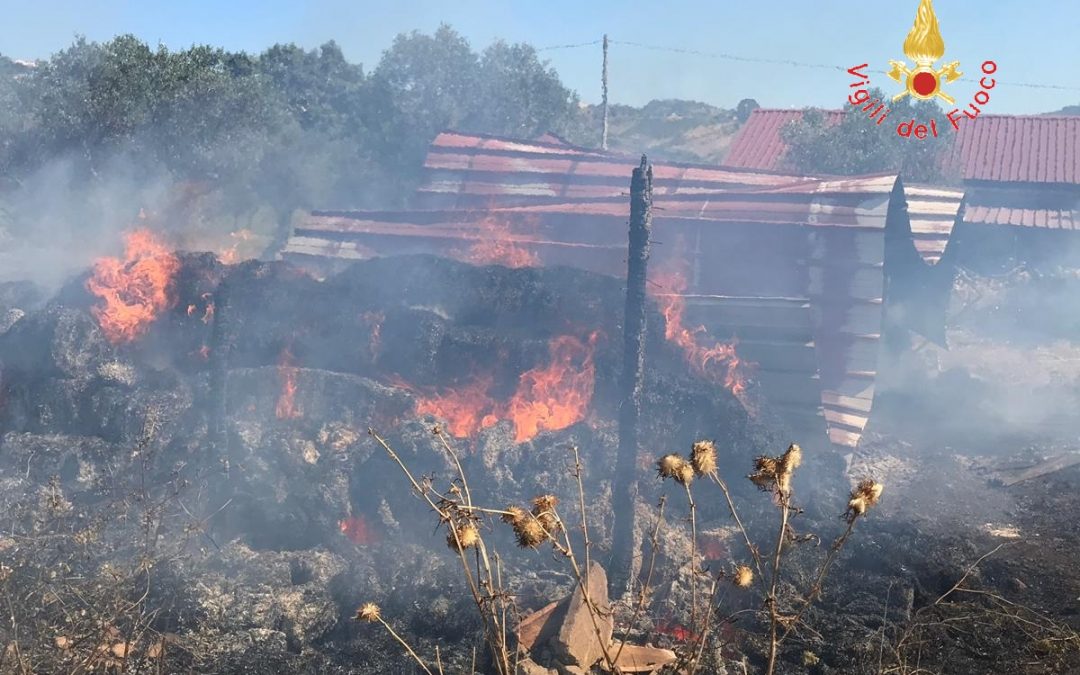 La stalla distrutta dall'incendio