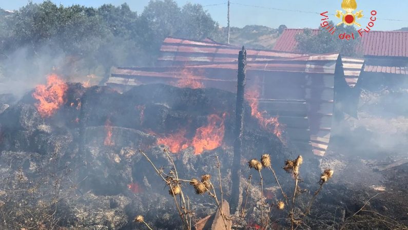 Incendio distrugge una stalla nel CatanzareseVigili salvano animali e abitazioni vicine al rogo