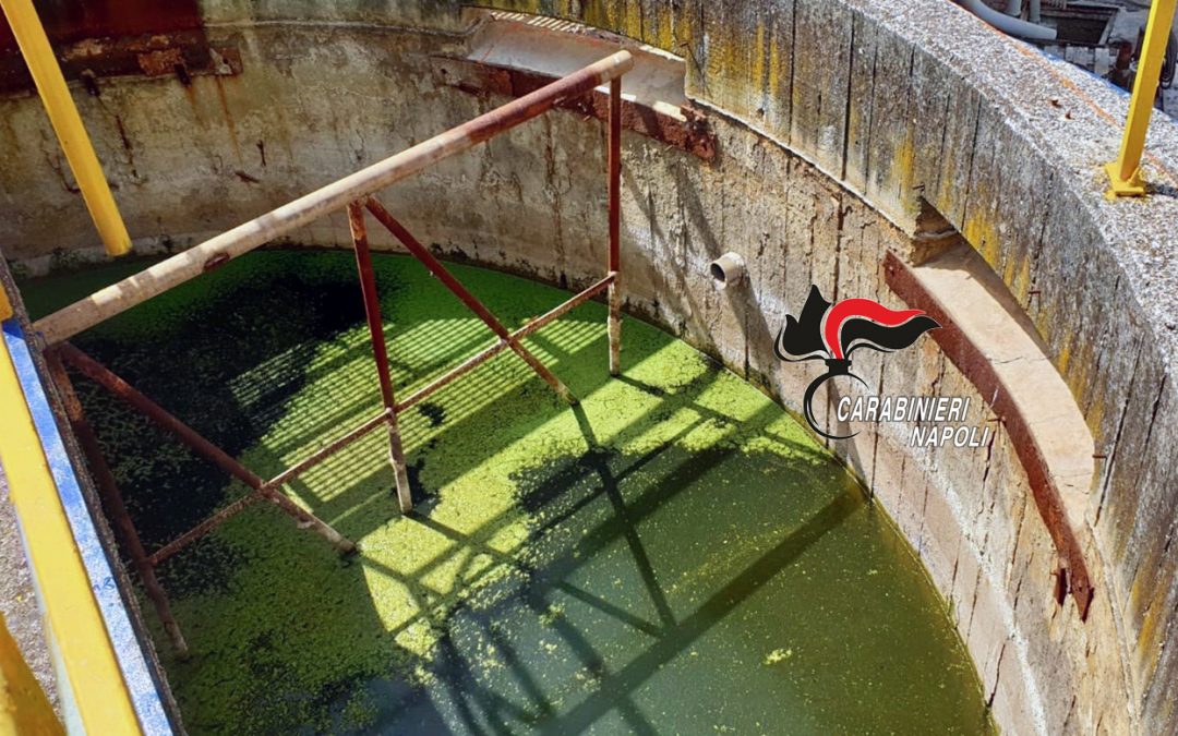 Caivano: carabinieri sequestrano preventivamente azienda che lavora carcasse e residui animali