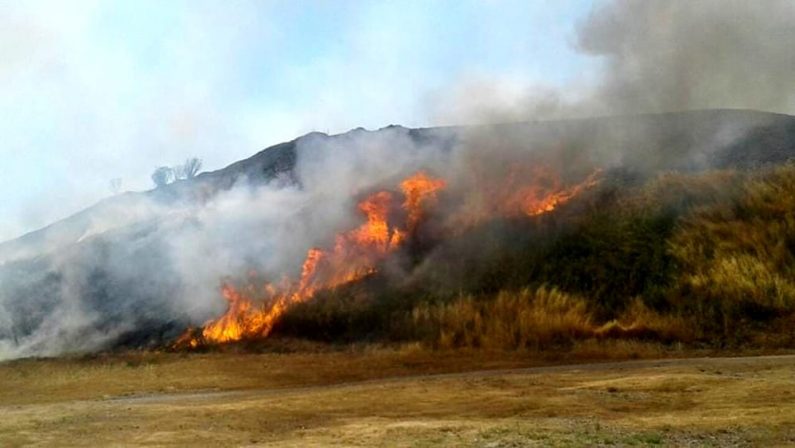A fuoco sterpaglie nel Parco Nazionale del Vesuvio