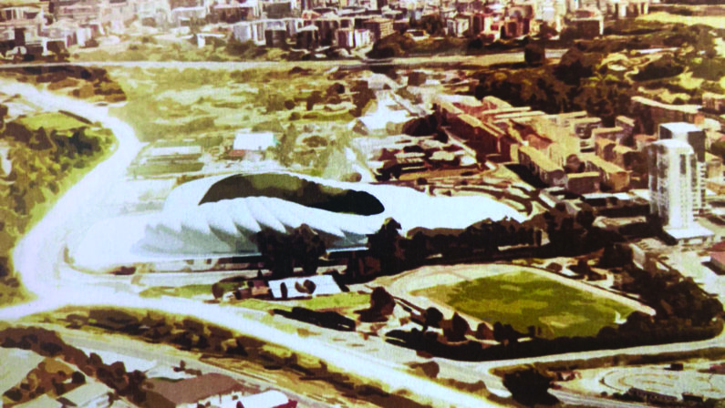 Cosenza, tutti i segreti del nuovo Stadio comunaleUn investimento complessivo da oltre 45 milioni di euro 
