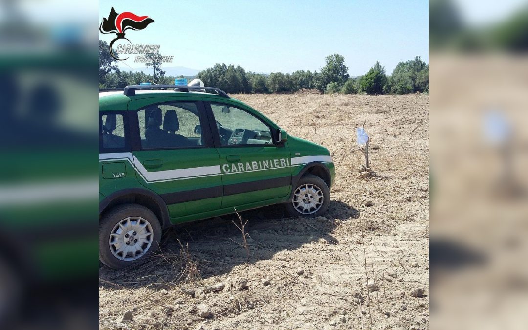 L'area sequestrata