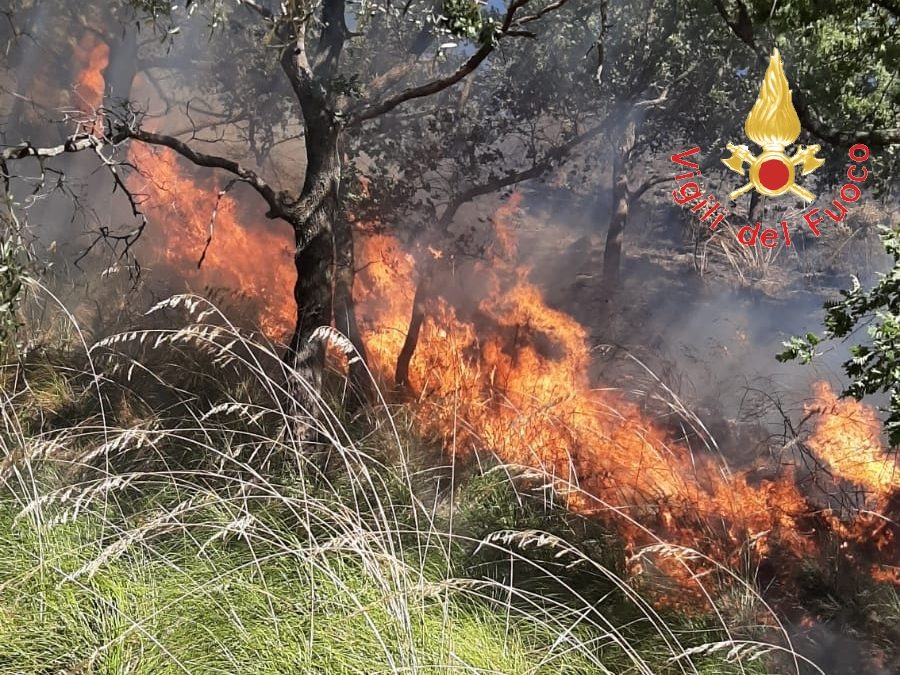 L'incendio a Catanzaro