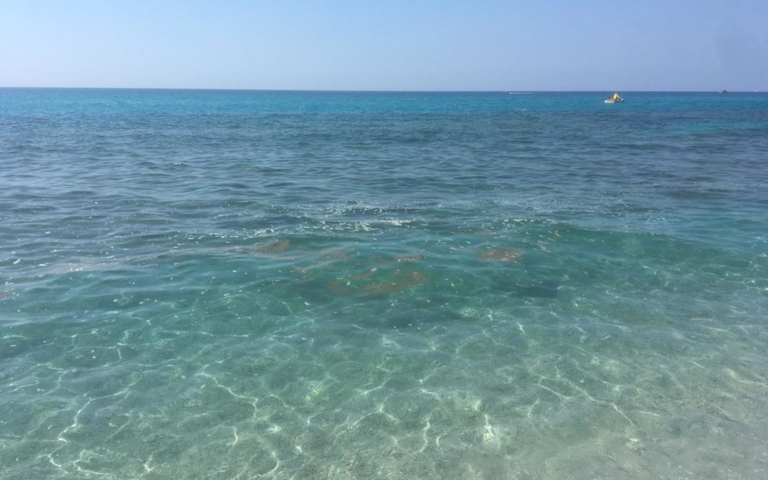 Alcune chiazze della melma apparsa a Capo Vaticano