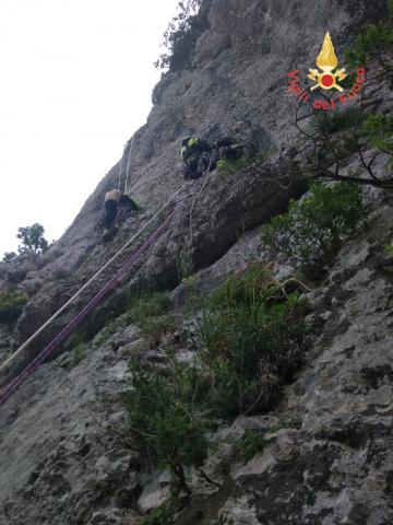 ricerche francese in campania