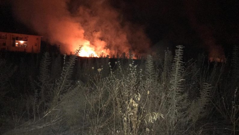 Incendio nell'area archeologica di Vibo ValentiaRovine a rischio, mancano interventi di bonifica