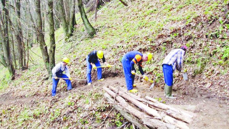 Forestali, si riapre la partita, intesa tra Provincia e sindacati irpini