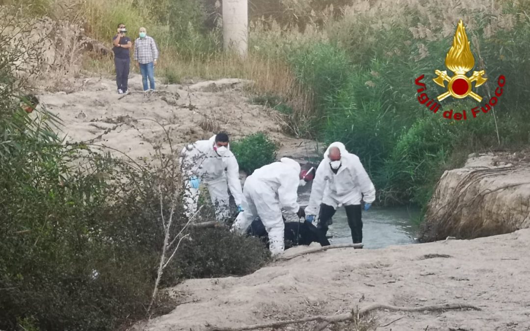 Cadavere in decomposizione rinvenuto nel Crotonese, indagini per identificare l’uomo