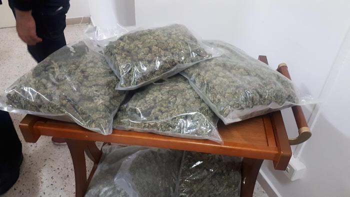 Venosa, scoperta piantagione di canapa, sequestrata marijuana per oltre 700 mila euro