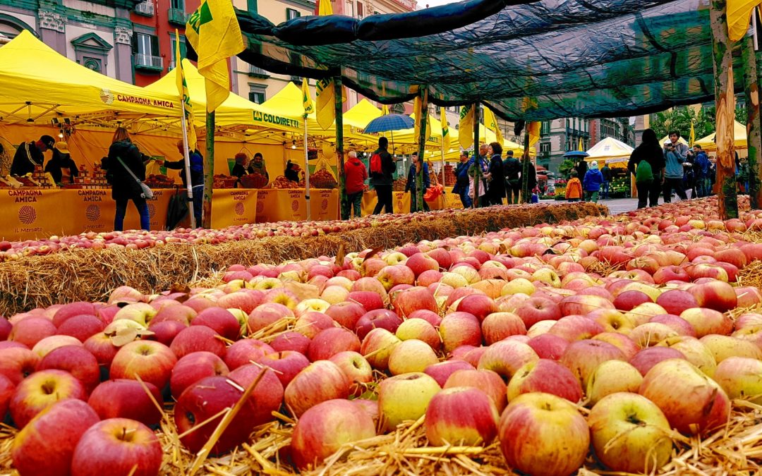 Annurca Fest: Coldiretti, la regina della mele nel cuore di Napoli