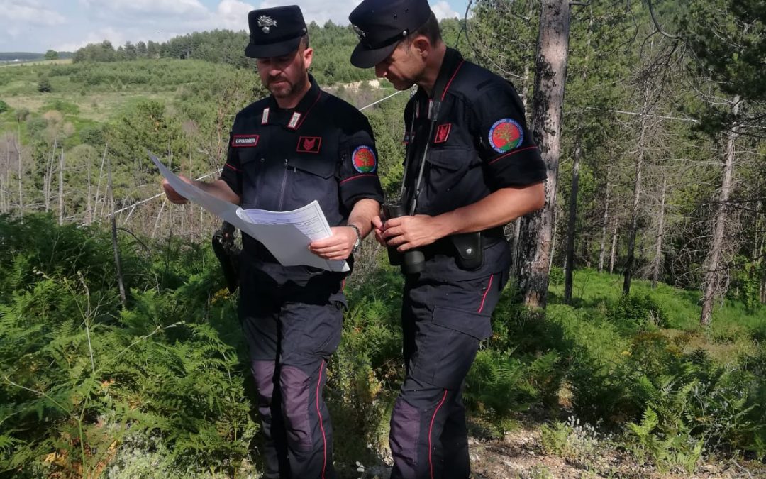 Truffa per erogazione fondi Psr in agricoltura, tre denunce nel Cosentino