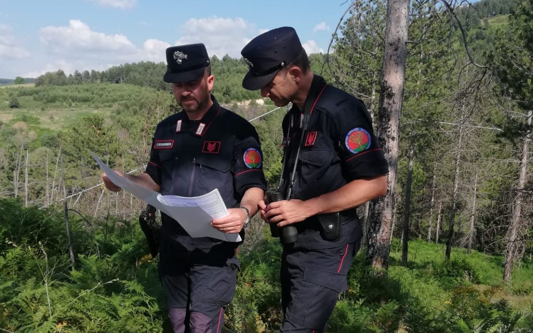Appicca un incendio nel Vibonese: scoperto dal drone e arrestato