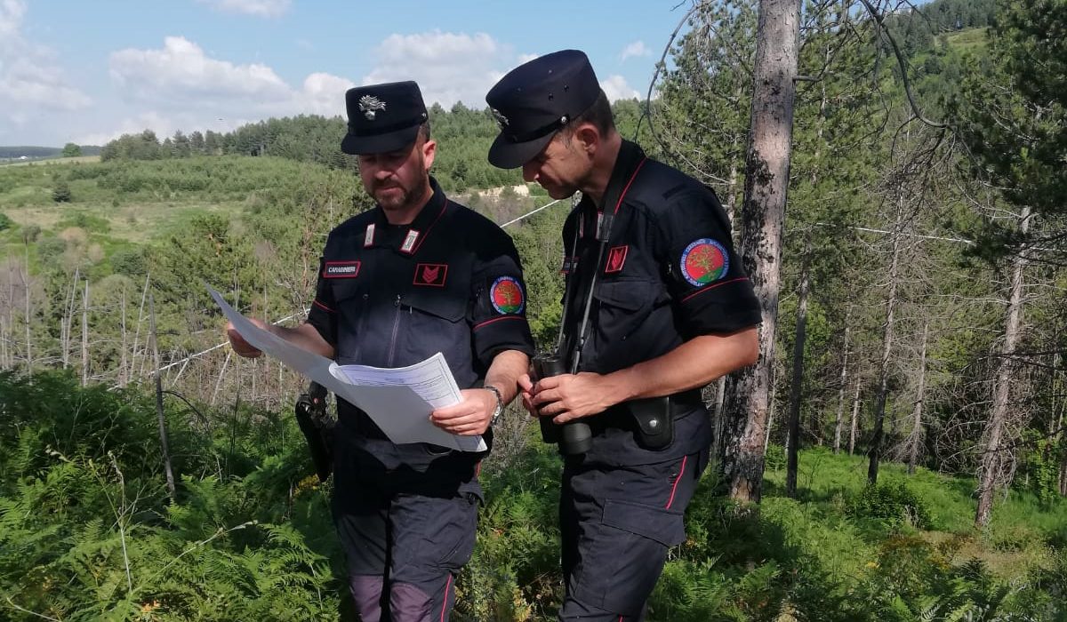 https://www.quotidianodelsud.it/wp-content/uploads/2019/10/carabinieri-forestale-repertorio-e1787039299520.jpg