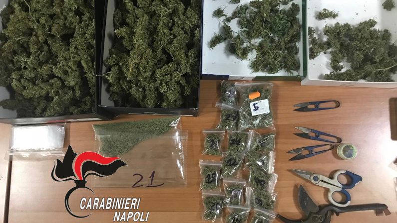 Otto chili di marijuana in casa e piante di cannabis in giardino, due arresti