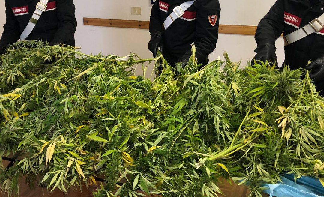 Sullo scooter con due sacchi pieni di marijuana, 27enne arrestato