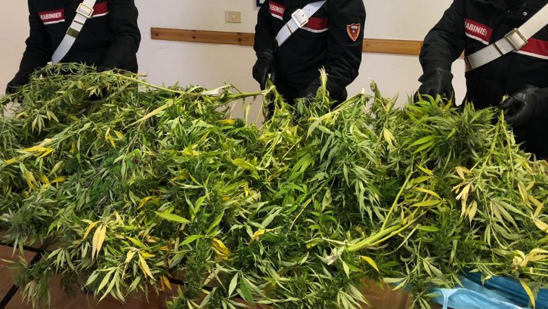 Sullo scooter con due sacchi pieni di marijuana, 27enne arrestato
