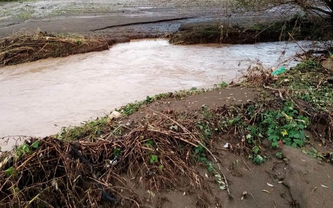Bomba d’acqua su Caserta, campi allagati e stalle distrutte
