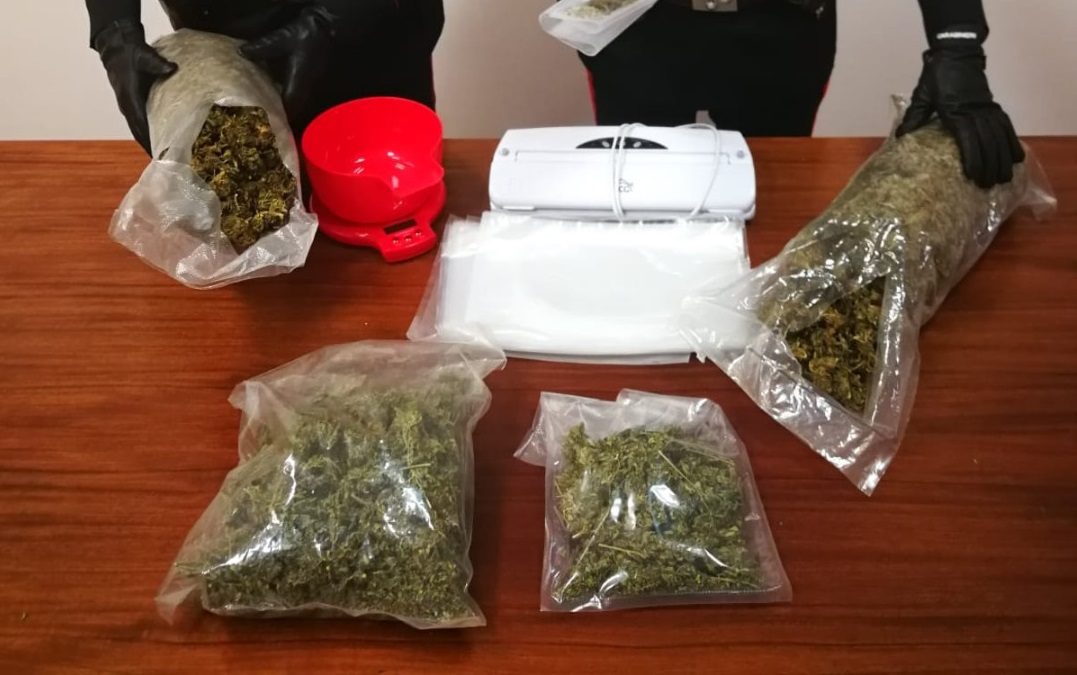 Spacciatori vicini di casa arrestati a Catanzaro con 2,5 chili di droga