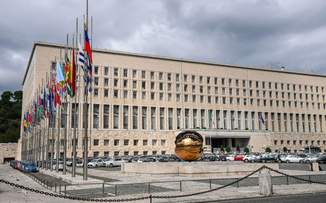Il ministero degli Esteri