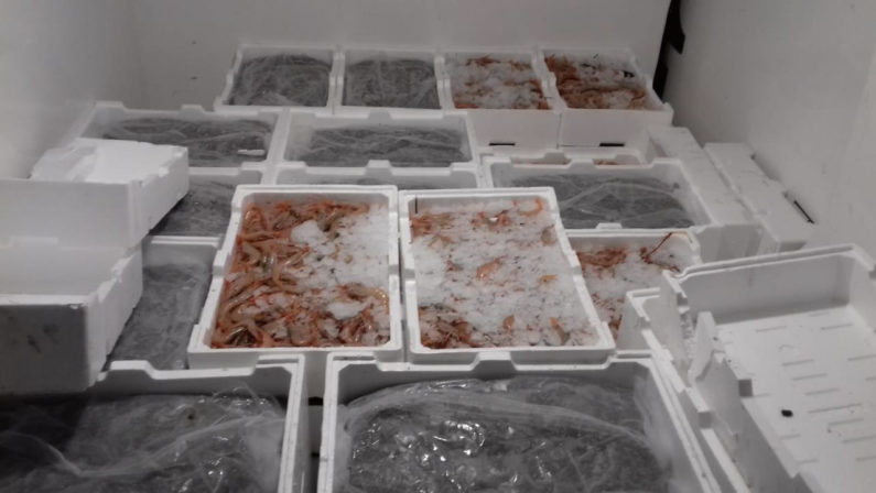 Sequestrati 700 chilogrammi di pesci nel Reggino, maxi sanzioni