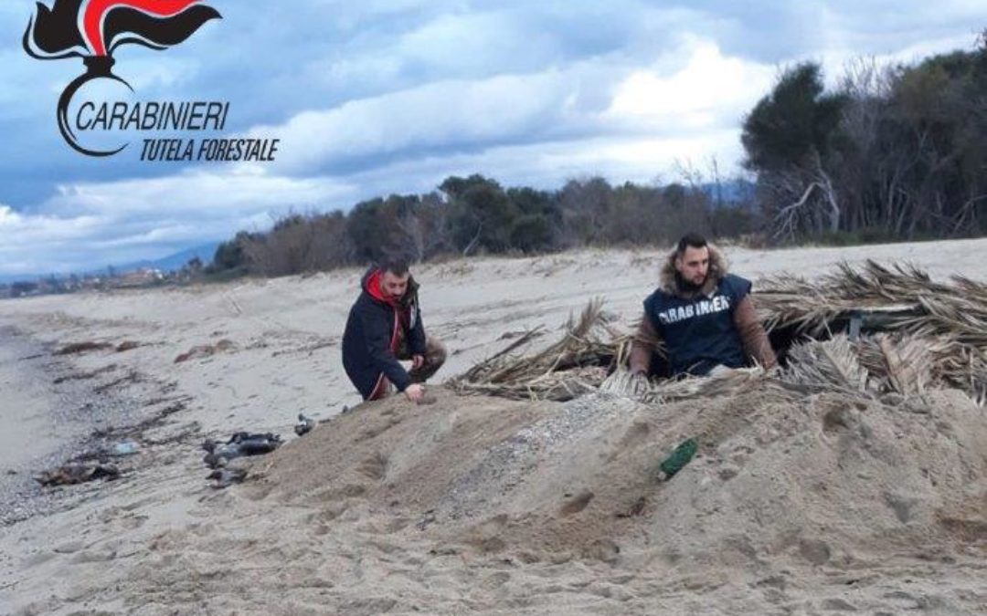 Cacciatori napoletani denunciati nel Cosentino, diverse le irregolarità