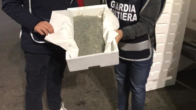 Maxi sequestro di novellame sarda al porto di Villa San Giovanni: il carico donato in beneficenza VIDEO