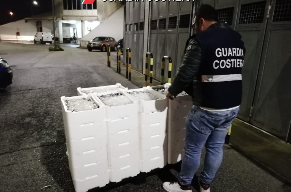 Salerno, sequestri al mercato ittico