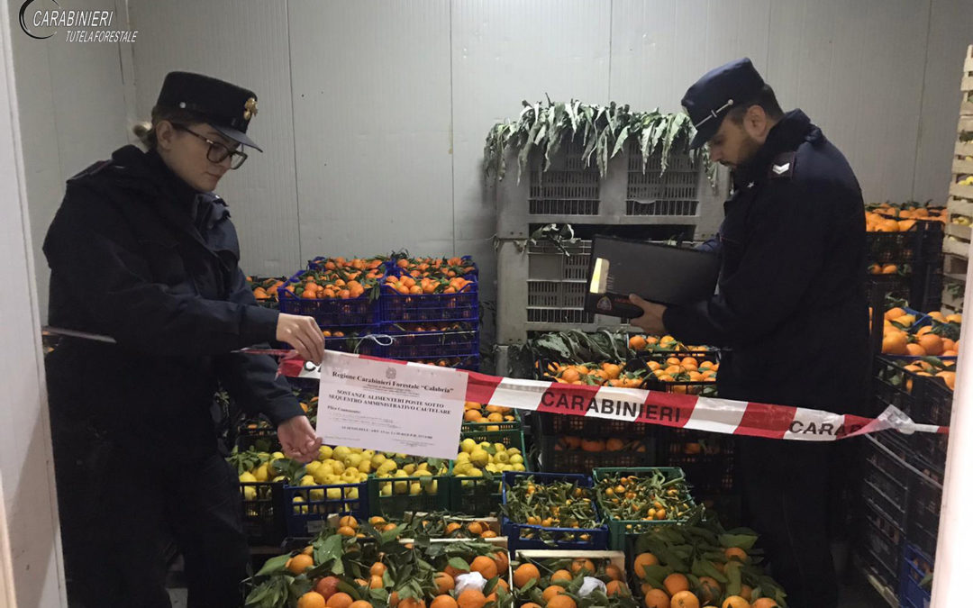 Il sequestro dei prodotti