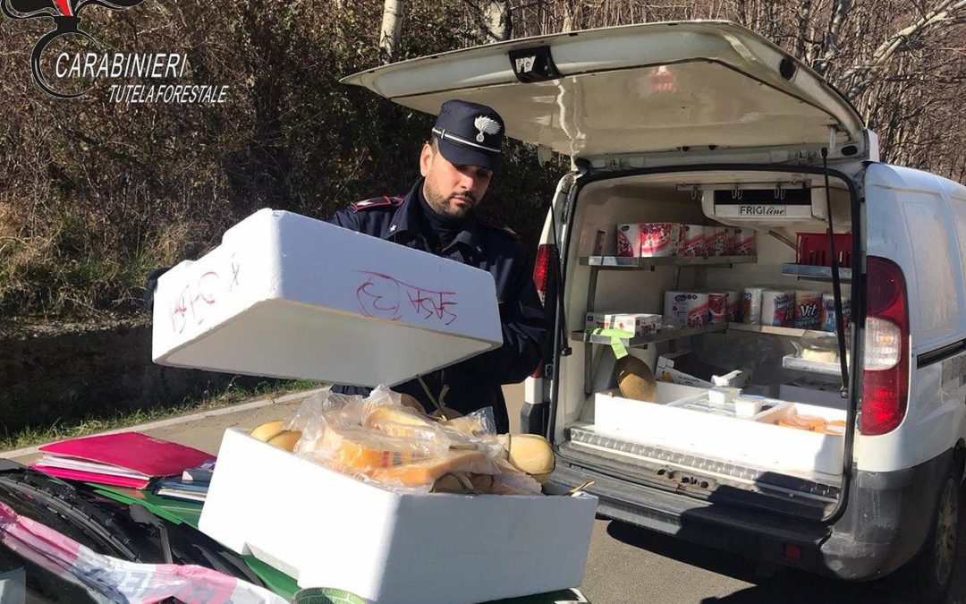 Formaggi privi di etichette, sequestrati nel Cosentino