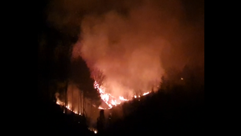 VIDEO - Vasto incendio nella Presila Catanzarese, in corso l'intervento dei vigili del fuoco