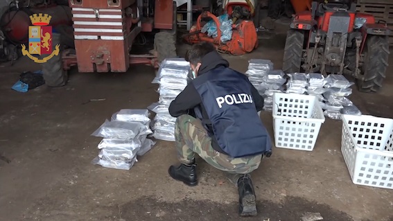 'Ndrangheta: nascondeva oltre 530 chili di cocaina, arrestato il figlio del boss Molè
