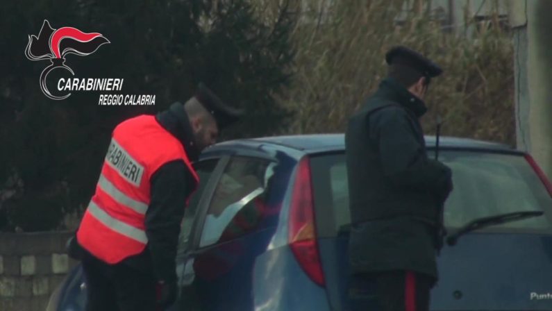 Piantagione di marijuana in una serra, sequestrate 600 piante e arrestato un uomo nel Reggino