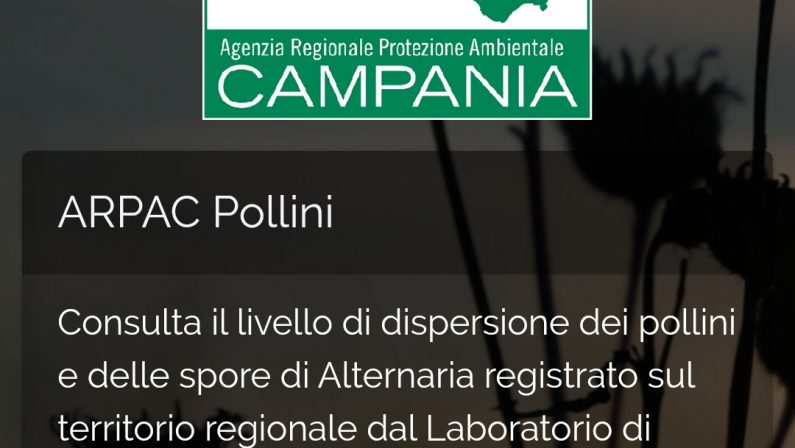 ARPAC, Pollini: ecco l’app che informa sulle concentrazioni in Campania