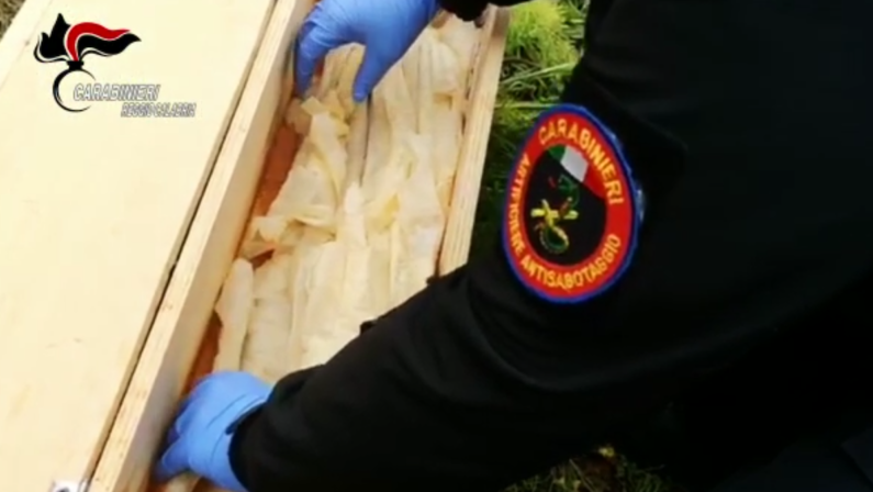 'Ndrangheta: sequestrate armi e gelatina esplosiva nel Reggino. Intervento degli artificieri - VIDEO