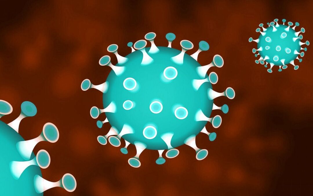 Quanto resiste il coronavirus sulle superfici? Lo spiega uno studio americano (e un video dell’Unical)