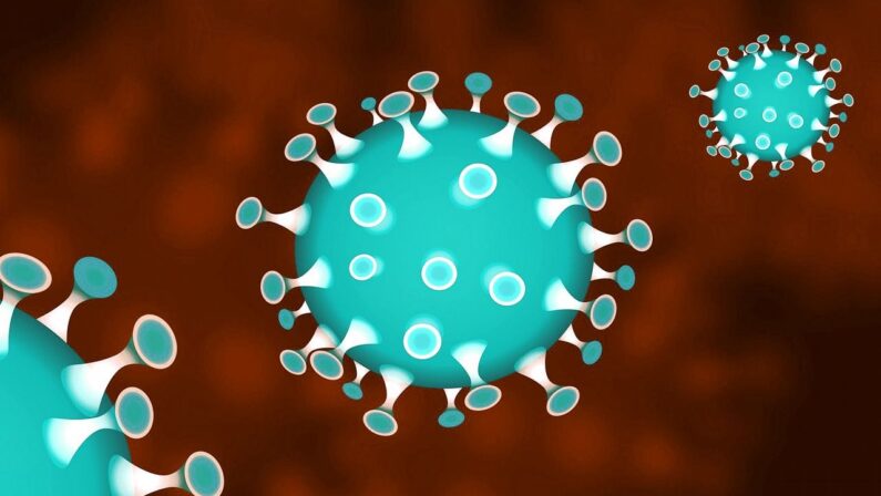 Quanto resiste il coronavirus sulle superfici? Lo spiega uno studio americano (e un video dell'Unical)