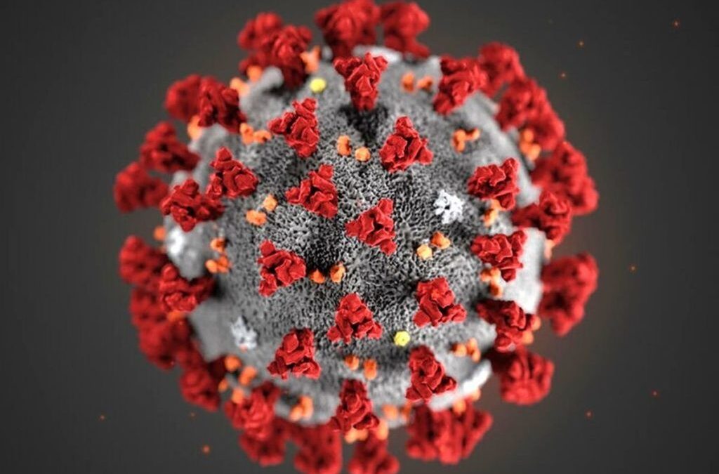 Una molecola naturale blocca il Coronavirus, lo dimostra uno studio condotto dal Cnr-Nanotec di Cosenza