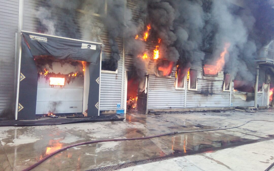 FOTO – L’incendio nel salumificio di Spilinga (Vibo Valentia)