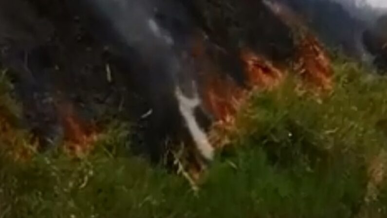 Grosso incendio sulle colline di Tropea, le fiamme sfiorano la strada provinciale