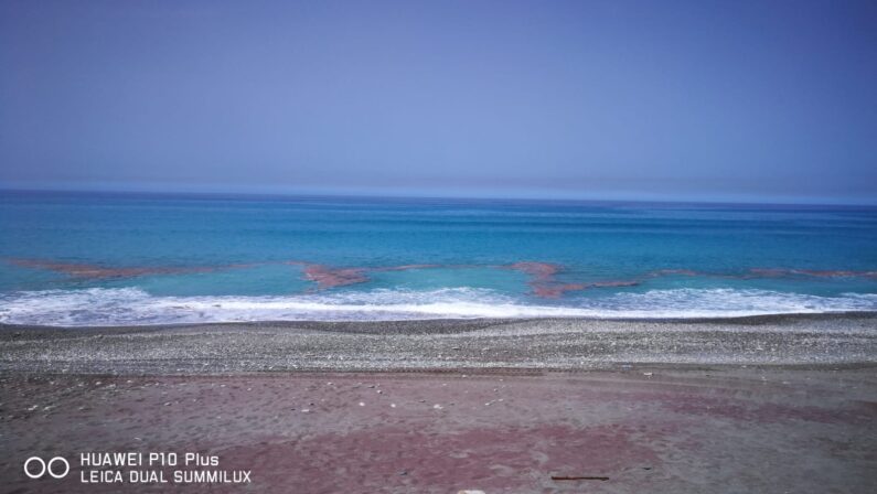 FOTO E VIDEO NOTIZIA - Mare sporco a Paola...e non è schiumetta