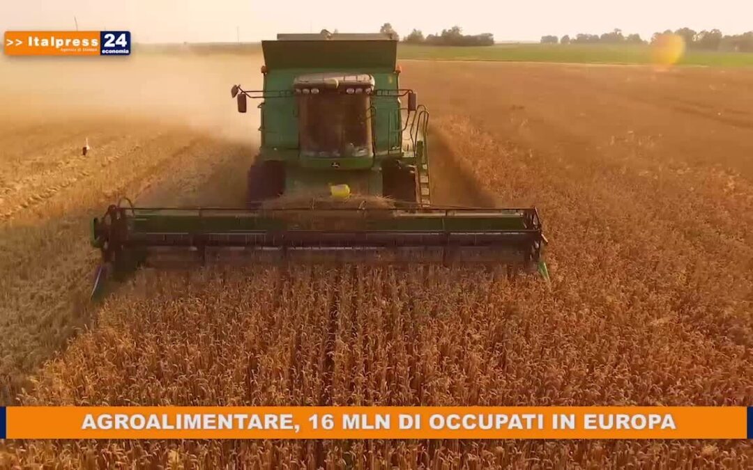 Agroalimentare, 16 mln di occupati in Europa